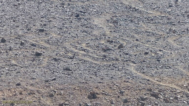 pampa colorada 021